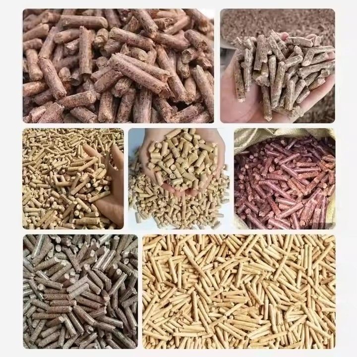 Ring Die Biomass Fuel Granulator Wood Sawdust Pellet Machine Sawdust Straw Fuel Wood Pellet Machine
